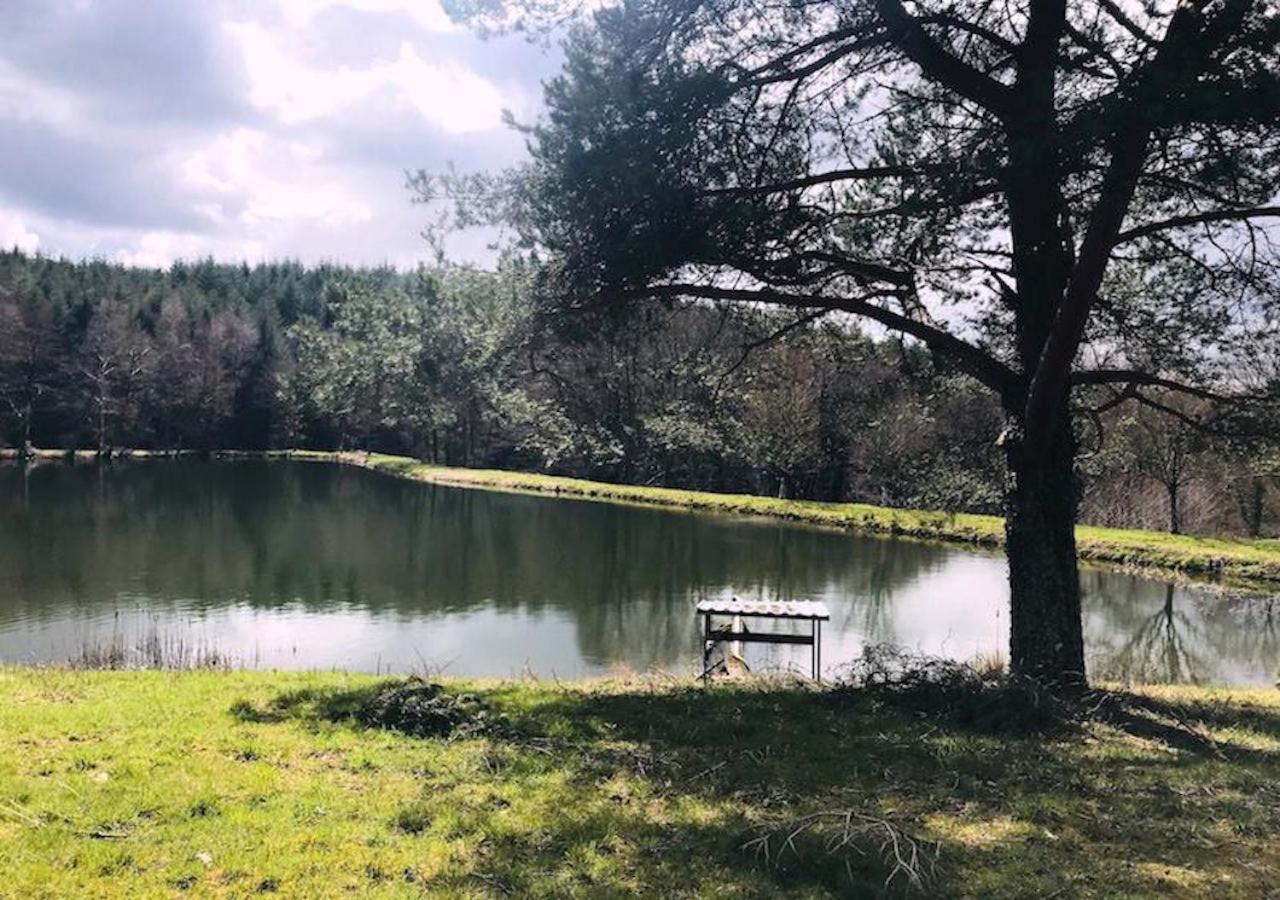 Morvan La Pastourelle Quarré-les-Tombes Exteriör bild