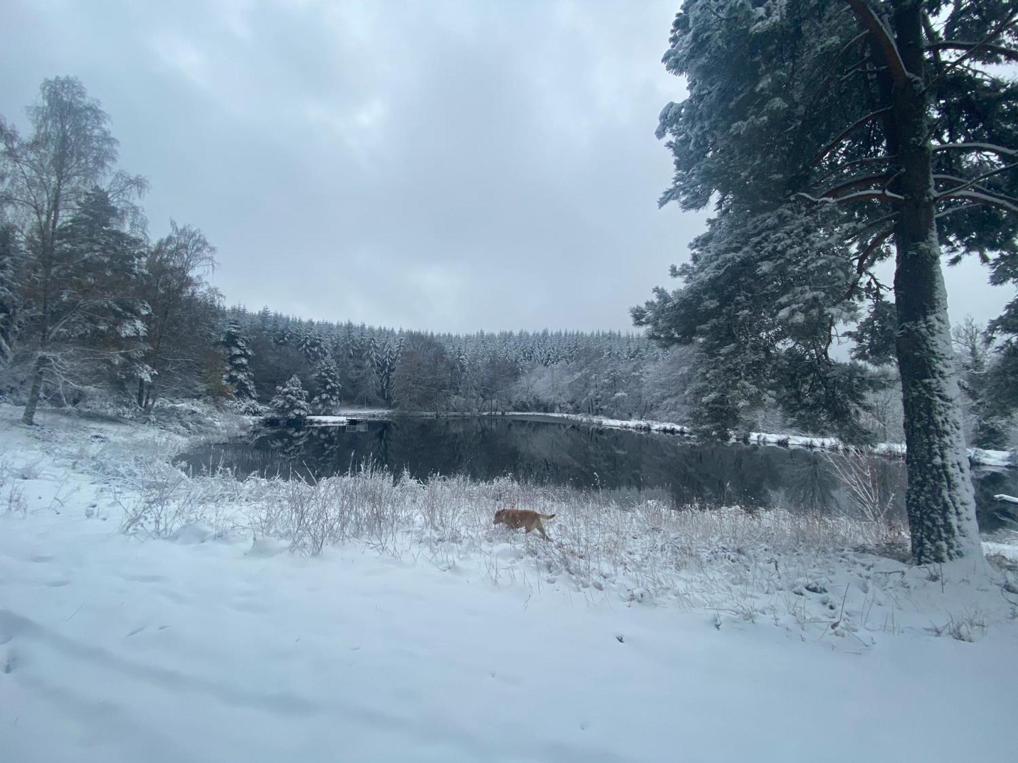 Morvan La Pastourelle Quarré-les-Tombes Exteriör bild